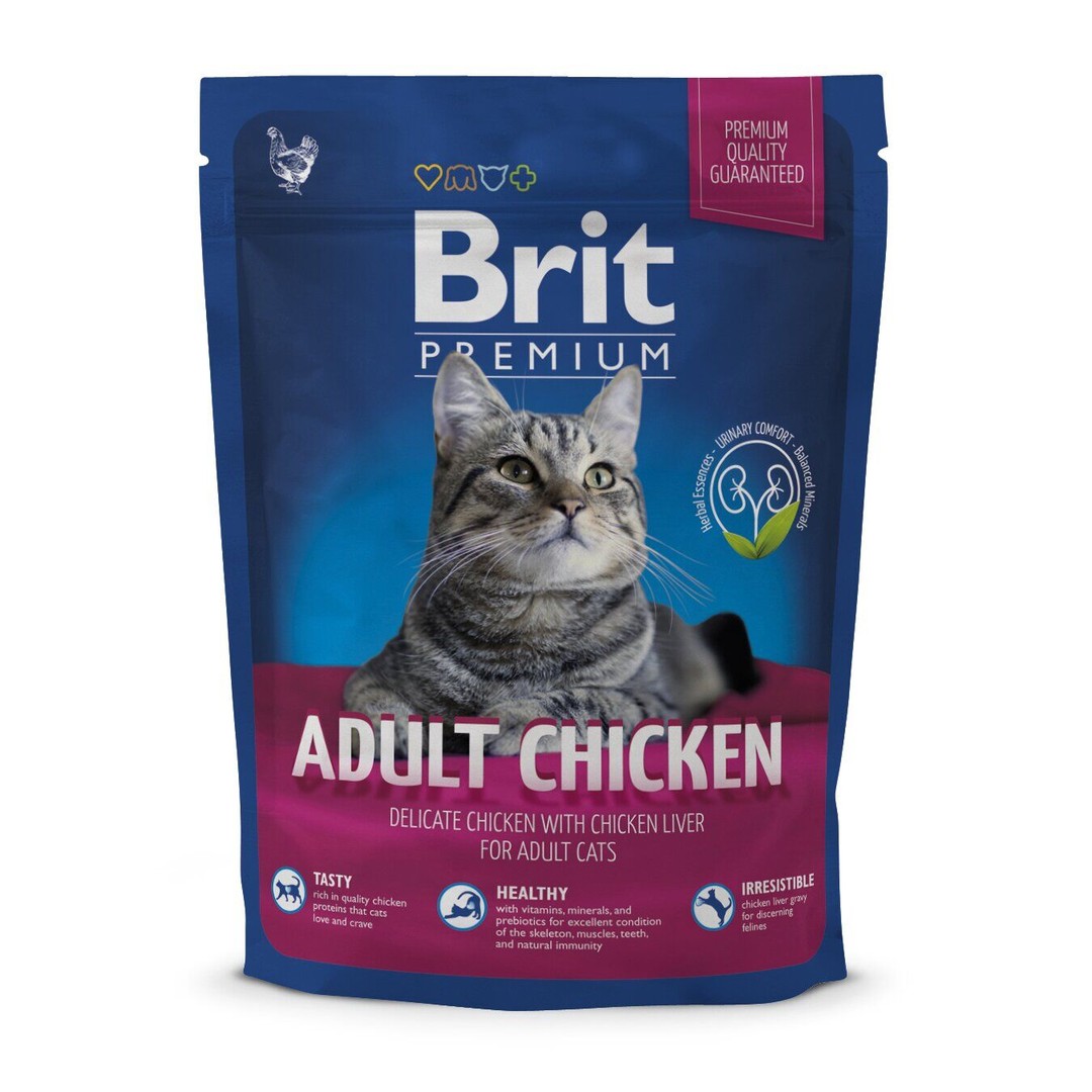 Обзор Brit Premium Cat Adult Chicken 300 г: сухой корм с курицей для взрослых кошек — состав, плюсы и минусы