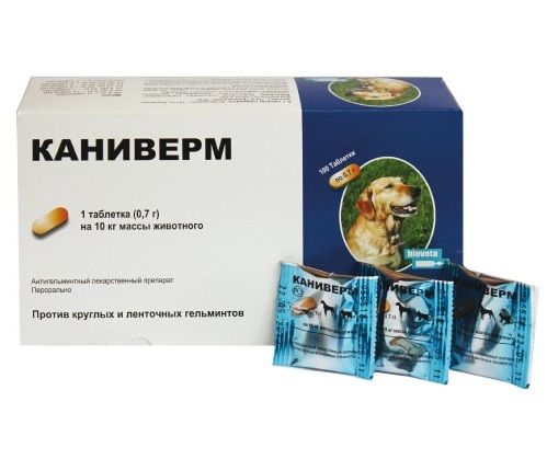 Обзор Каниверм 700 мг: таблетки от глистов для собак и кошек — состав, дозировка, плюсы и минусы