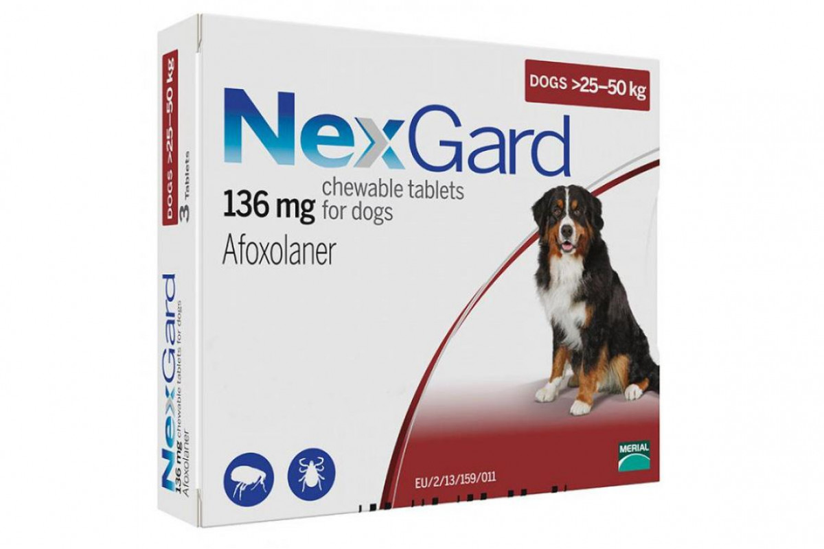 ΠΠ±Π·ΠΎΡ NexGard (ΠΠ΅ΠΊΡΠ³Π°ΡΠ΄): ΠΆΠ΅Π²Π°ΡΠ΅Π»ΡΠ½Π°Ρ ΡΠ°Π±Π»Π΅ΡΠΊΠ° ΠΎΡ Π±Π»ΠΎΡ
ΠΈ ΠΊΠ»Π΅ΡΠ΅ΠΉ Π΄Π»Ρ ΡΠΎΠ±Π°ΠΊ β Π΄ΠΎΠ·ΠΈΡΠΎΠ²ΠΊΠ°, ΠΏΠ»ΡΡΡ ΠΈ ΠΌΠΈΠ½ΡΡΡ