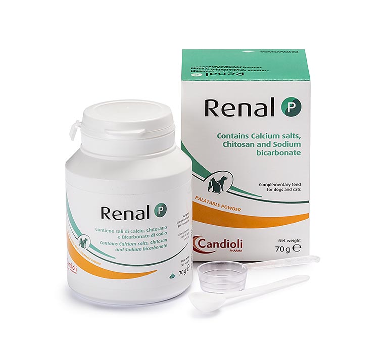 ΠΠ±Π·ΠΎΡ Candioli Renal P 70 Π³: ΠΏΠΎΡΠΎΡΠΎΠΊ Π΄Π»Ρ ΠΊΠΎΠ½ΡΡΠΎΠ»Ρ ΡΠΎΡΡΠΎΡΠ° ΠΈ Π°ΡΠΈΠ΄ΠΎΠ·Π° ΠΏΡΠΈ Ρ
ΡΠΎΠ½ΠΈΡΠ΅ΡΠΊΠΎΠΉ ΠΏΠΎΡΠ΅ΡΠ½ΠΎΠΉ Π½Π΅Π΄ΠΎΡΡΠ°ΡΠΎΡΠ½ΠΎΡΡΠΈ Ρ ΠΊΠΎΡΠ΅ΠΊ ΠΈ ΡΠΎΠ±Π°ΠΊ β ΠΏΠ»ΡΡΡ ΠΈ ΠΌΠΈΠ½ΡΡΡ