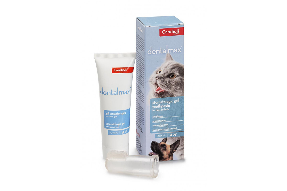 ΠΠ±Π·ΠΎΡ Candioli DentalMax 50 ΠΌΠ»: Π³Π΅Π»Ρ Π΄Π»Ρ Π·ΡΠ±ΠΎΠ² ΠΈ Π΄ΡΡΠ΅Π½ ΡΠΎΠ±Π°ΠΊ ΠΈ ΠΊΠΎΡΠ΅ΠΊ β ΠΊΠ°ΠΊ ΠΏΡΠΈΠΌΠ΅Π½ΡΡΡ, ΠΏΠ»ΡΡΡ ΠΈ ΠΌΠΈΠ½ΡΡΡ