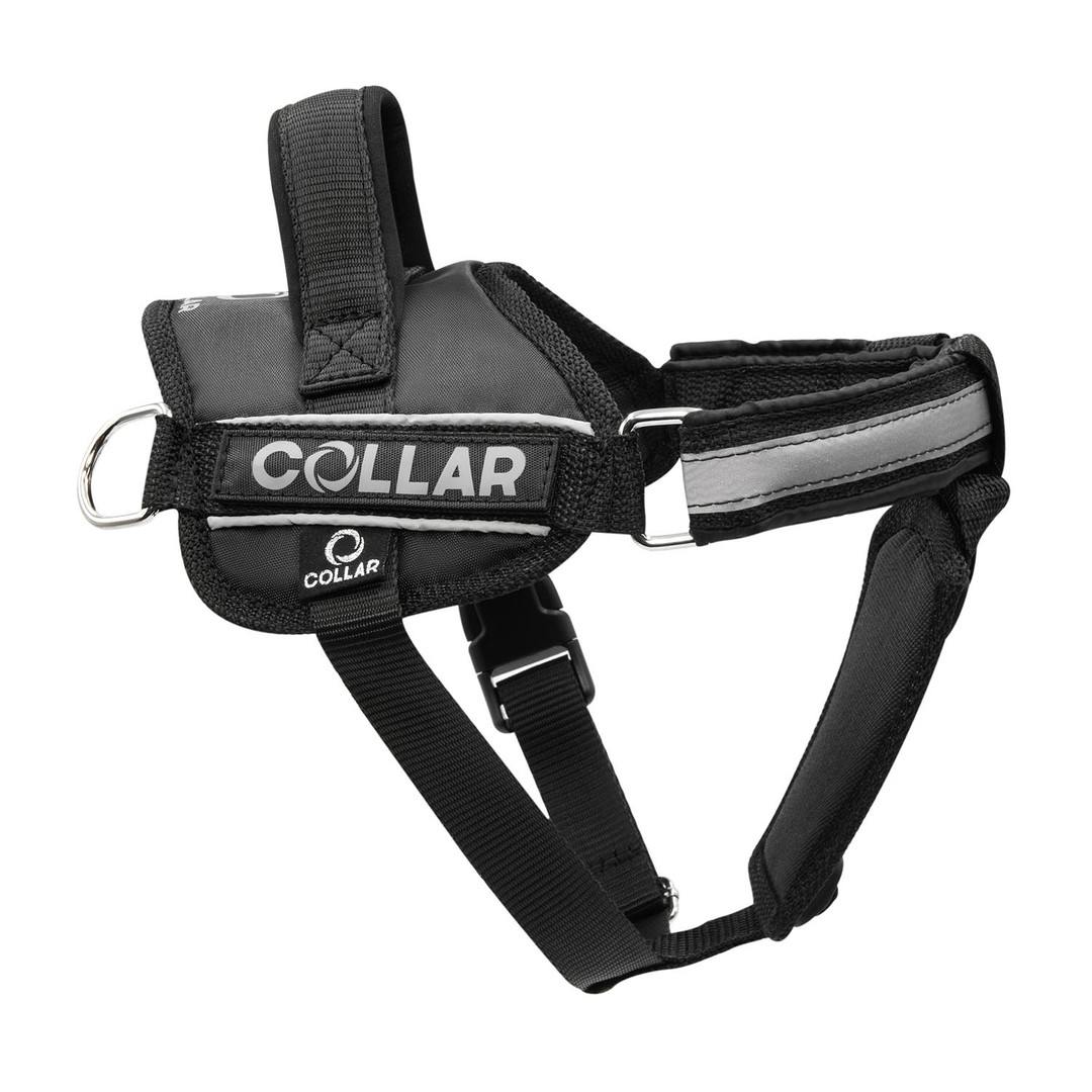 Как надеть шлейку на собаку: виды шлеек, размер и пошаговая инструкция