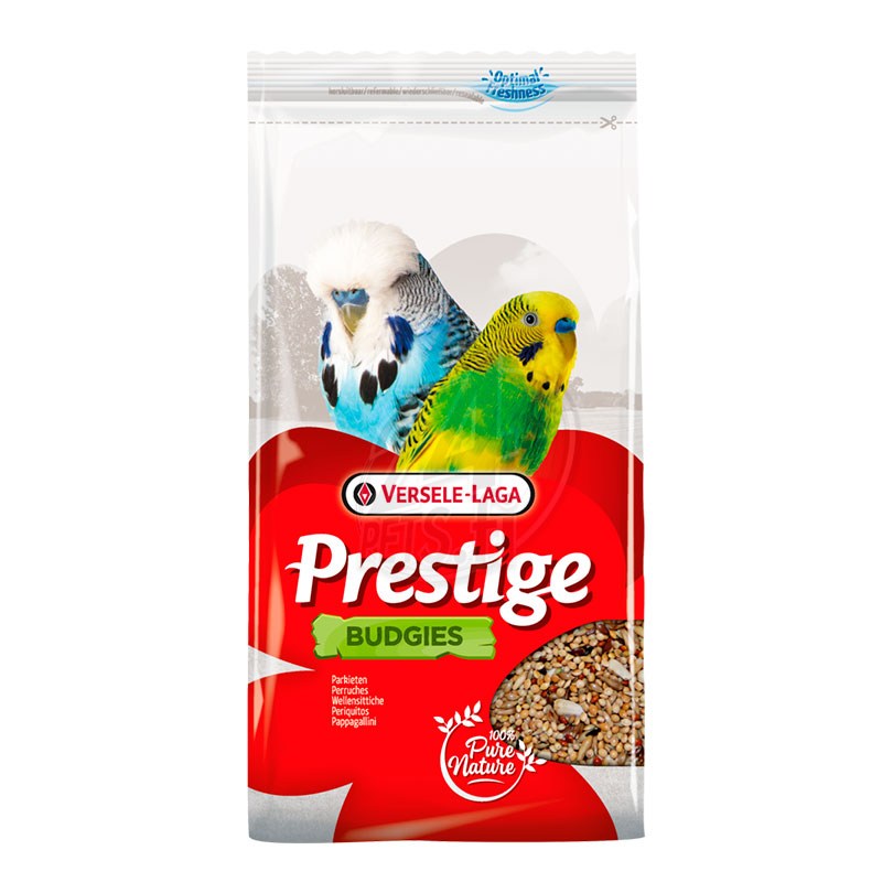 ΠΠ±Π·ΠΎΡ Versele-Laga Prestige Premium Budgies 1 ΠΊΠ³: Π·Π΅ΡΠ½ΠΎΠ²Π°Ρ ΡΠΌΠ΅ΡΡ Ρ VAM-Π³ΡΠ°Π½ΡΠ»Π°ΠΌΠΈ Π΄Π»Ρ Π²ΠΎΠ»Π½ΠΈΡΡΡΡ
ΠΏΠΎΠΏΡΠ³Π°Π΅Π² β ΡΠΎΡΡΠ°Π², ΠΊΠ°ΠΊ ΠΊΠΎΡΠΌΠΈΡΡ, ΠΏΠ»ΡΡΡ ΠΈ ΠΌΠΈΠ½ΡΡΡ