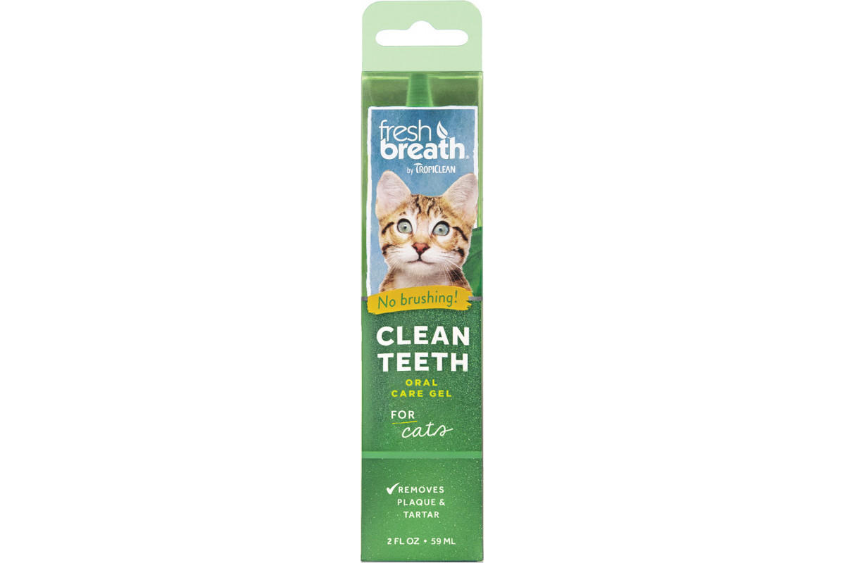 Обзор TropiClean Clean Teeth Gel: гель для зубов собак и кошек без щётки — как наносить, плюсы и минусы
