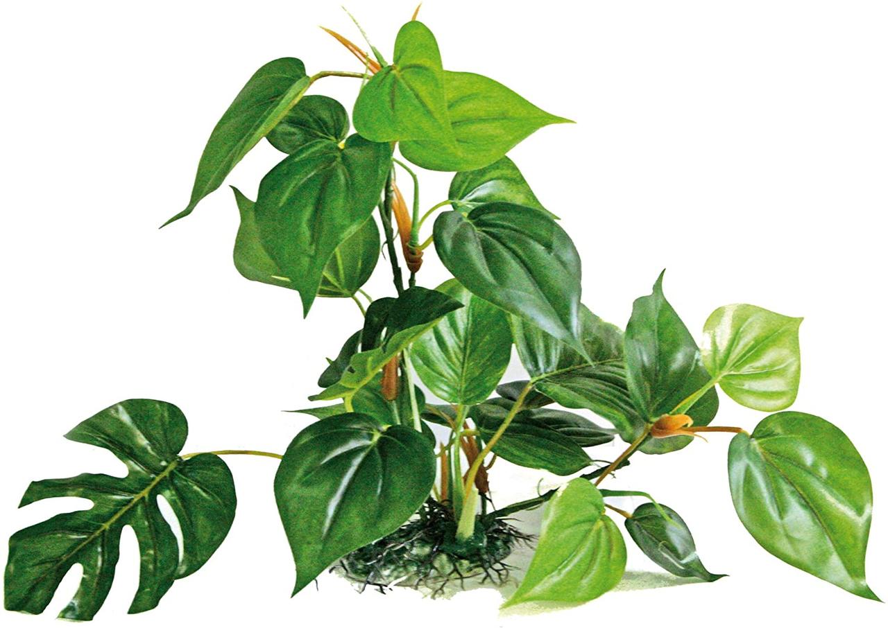 ΠΠ±Π·ΠΎΡ CROCI Replica Anubias 30 ΡΠΌ: ΠΈΡΠΊΡΡΡΡΠ²Π΅Π½Π½ΠΎΠ΅ ΡΠ°ΡΡΠ΅Π½ΠΈΠ΅-Π°Π½ΡΠ±ΠΈΠ°Ρ Π΄Π»Ρ Π°ΠΊΠ²Π°ΡΠΈΡΠΌΠ° β ΠΏΠ»ΡΡΡ ΠΈ ΠΌΠΈΠ½ΡΡΡ