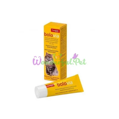 Паста Candioli Bolo Via шерстевыводящая 25 г