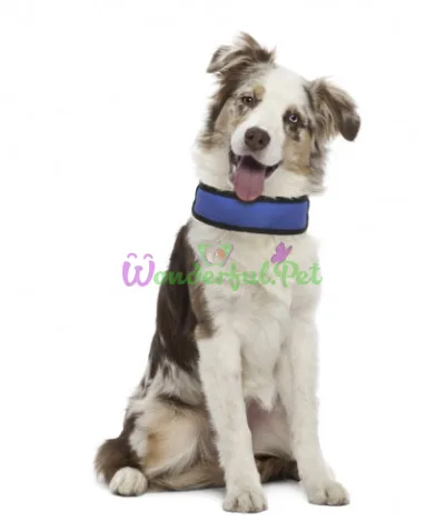 Охолоджуючий ошейник Harness Fresh, синий, 50х6см