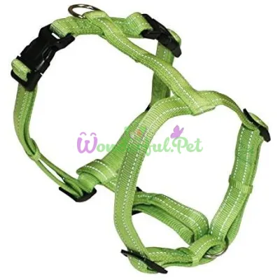 Шлейка SOFT REFLECTIVE H-образная, светоотражающая, мягкая, зелёная, нейлон, 2x50-65 см