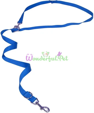 Nylon Training Leash, Blue, 2.5x220 cm