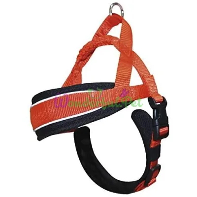 Шлея HIKING ENDURANCE, с мягкой подкладкой, светоотраж., оранж, нейлон, L 62-70 см