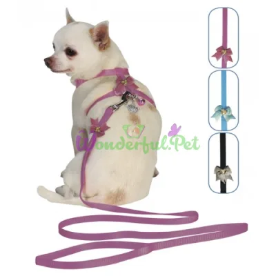 Набор шлея+поводок VANITY MINIDOG, 3 цвета, нейлон, 24-38х1 см 120х1 см