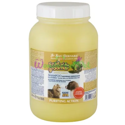 Шампунь Iv San Bernard Ginger and Elderberry дезинфикуюча, с бузиною и имбирем, 3,25л (2 шт уп)