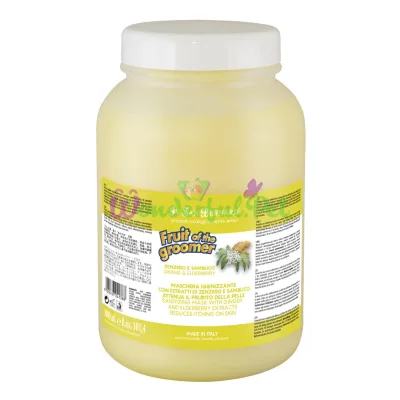 Iv San Bernard Ginger and Elderberry Disinfecting Mask, 3 L