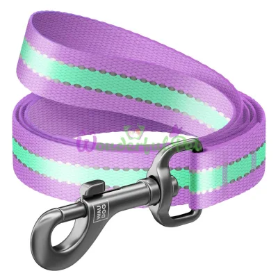 Waudog Nylon Glow-in-the-Dark Dog Leash 20 mm, 122 cm, Purple
