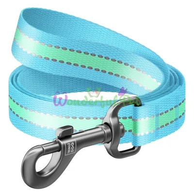 Waudog Nylon Glow-in-the-Dark Dog Leash 15 mm, 122 cm, Blue