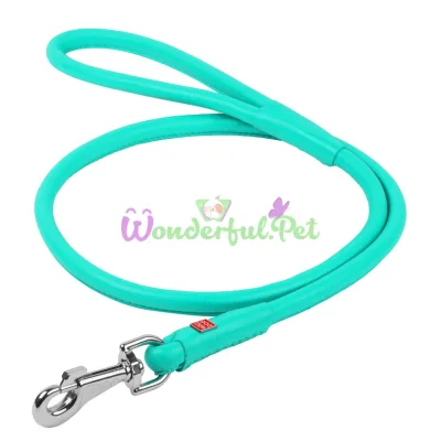 Waudog Glamour Round Dog Leash, 13 mm, 122 cm, Mint