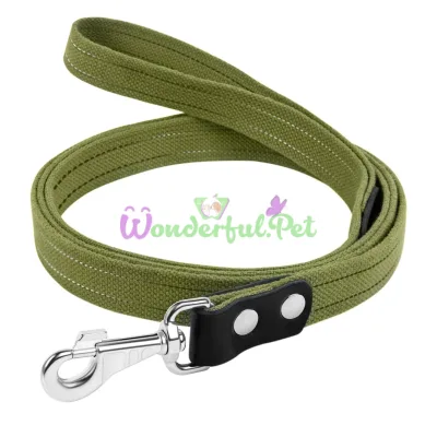 Cotton canvas dog leash with reflective thread 20 mm, 300 cm, green