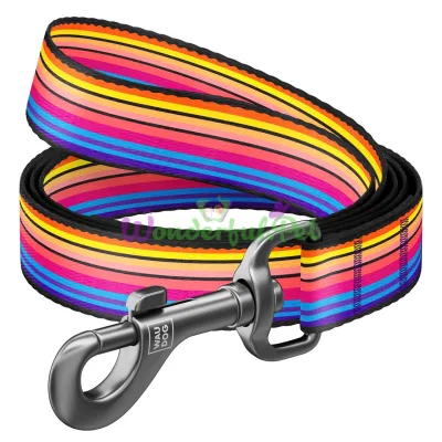Поводок Waudog Nylon с рисунком Линия 1 для собак 25 мм, 122 см