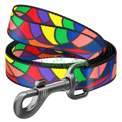 ΠΠΎΠ²ΠΎΠ΄ΠΎΠΊ Waudog Nylon Ρ ΡΠΈΡΡΠ½ΠΊΠΎΠΌ ΠΠΈΡΡΠ°ΠΆ Π΄Π»Ρ ΡΠΎΠ±Π°ΠΊ 25 ΠΌΠΌ, 122 ΡΠΌ