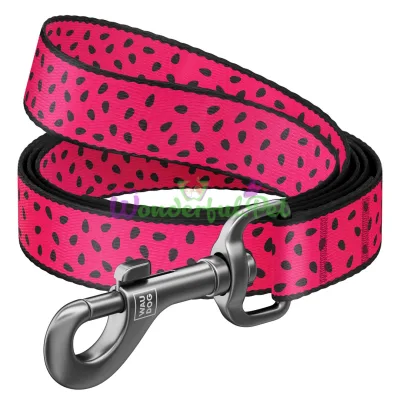 Поводок Waudog Nylon с рисунком Арбуз для собак 20 мм, 122 см