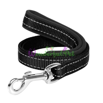 Dog Extreme Nylon Leash with Rubberised Handle for Dogs 20 mm, 122 cm, Black