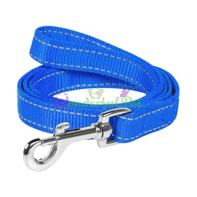 Нейлоновый поводок Dog Extreme двойной для собак 20 мм, 122 см, голубой