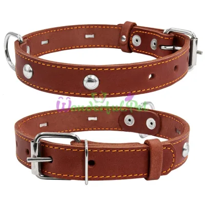 Single dog collar with decoration 25 mm, 38-50 cm, brown