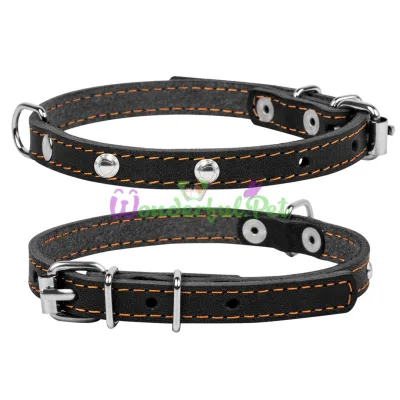Single Dog Collar with Decoration 14 mm, 27-35 cm, Black