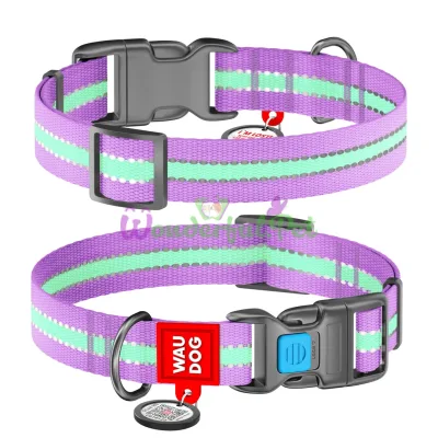 Ошейник Waudog Nylon светонакопительный, ширина 25 мм, длина 35-58 см, фиолетовый