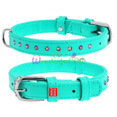ΠΡΠ΅ΠΉΠ½ΠΈΠΊ Waudog Glamour Ρ ΠΊΠ»Π΅Π΅Π²ΡΠΌΠΈ ΡΡΡΠ°Π·Π°ΠΌΠΈ, ΡΠΈΡΠΈΠ½Π° 12 ΠΌΠΌ, Π΄Π»ΠΈΠ½Π° 21-29 ΡΠΌ, ΠΌΠ΅Π½ΡΠΎΠ»ΠΎΠ²ΡΠΉ