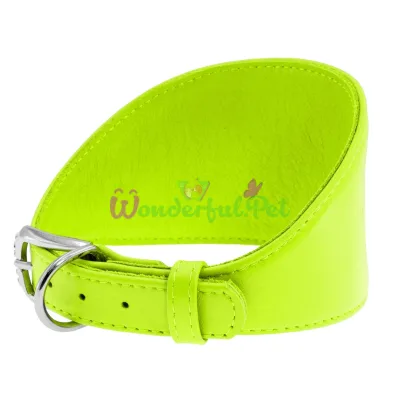 Ошейник Waudog Glamour для борзых, без украшения, ширина 20 мм, длина 34-40 см, салатовый