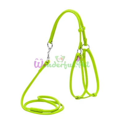 Шлея с поводком Waudog Glamour №2 круглая для кошек и мелких собак 6 мм, 90 см, салатовый