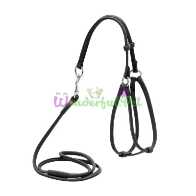 Шлея с поводком Waudog Glamour №1 круглая для кошек и мелких собак 6 мм, 105 см, черный