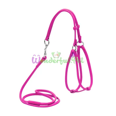 Шлея с поводком Waudog Glamour №1 круглая для кошек и мелких собак 6 мм, 105 см, розовый