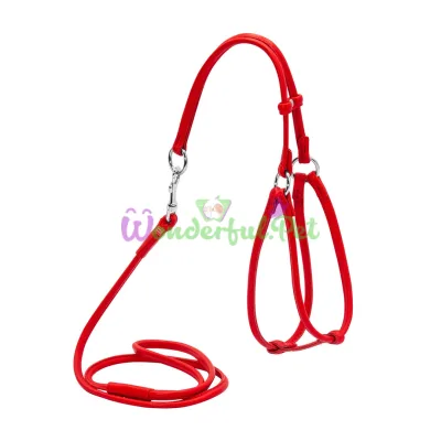 Waudog Glamour No.1 Round Harness with Leash for Cats and Small Dogs, 6 mm, 105 cm, Red