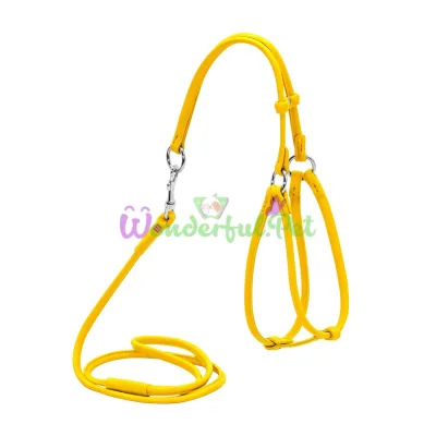 Шлея с поводком Waudog Glamour №1 круглая для кошек и мелких собак 6 мм, 105 см, желтый
