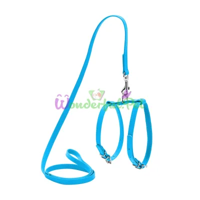 Π¨Π»Π΅Ρ Waudog Glamour Ρ ΠΏΠΎΠ²ΠΎΠ΄ΠΊΠΎΠΌ Π΄Π»Ρ ΡΠΎΠ±Π°ΠΊ ΠΈ ΠΊΠΎΡΠ΅ΠΊ 9 ΠΌΠΌ, 115 ΡΠΌ, Π³ΠΎΠ»ΡΠ±ΠΎΠΉ