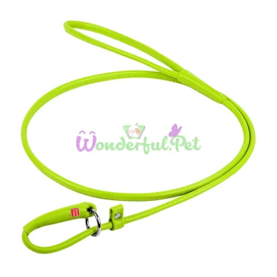 Waudog Glamour Round Slip Leash for Dogs 6 mm, 135 cm, Lime