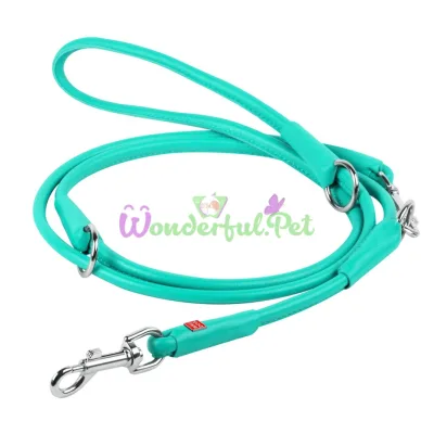 Waudog Glamour Round Adjustable Leash for Dogs, 10 mm, Mint
