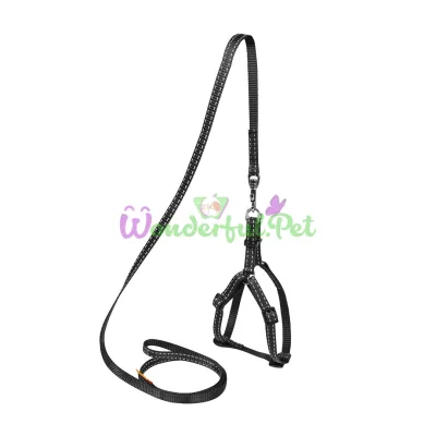 Dog Extreme Nylon Harness with Leash for Cats, Rabbits, Guinea Pigs, 10 mm, 28-40 cm, Black