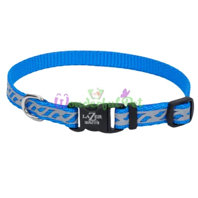 Светоотражающий ошейник Coastal Lazer для собак, голубой, 1×20-30 см