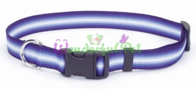 Ошейник Coastal Trendz Graduated для собак, синий, 1×30 см
