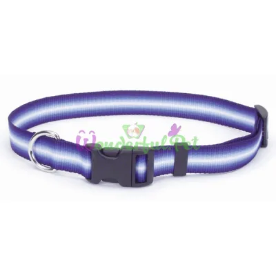Ошейник Coastal Trendz Graduated для собак, синий, 1×30 см