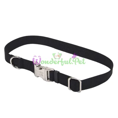 Ошейник Coastal Titan Buckle для собак, черный, 2.5×46-66 см