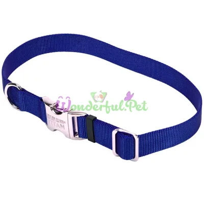 Ошейник Coastal Titan Buckle для собак, синий, 2.5×46-66 см