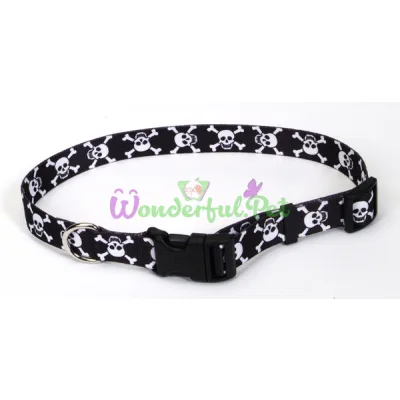 Ошейник Coastal Pet Attire Style для собак, черный, 2.5×45-71 см