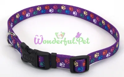 Ошейник Coastal Pet Attire Style для собак, фиолетовый, 2.5×45-71 см