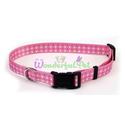 Ошейник Coastal Pet Attire Style для собак, розовый, 2.5×45-71 см