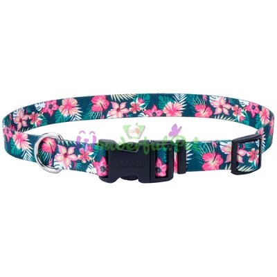 Ошейник Coastal Pet Attire Style для собак, рескю, 1.6×35 см