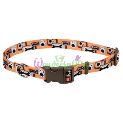 Ошейник Coastal Pet Attire Style для собак, оранжевый, 2.5×45-71 см